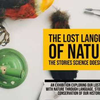 The Lost Language of Nature