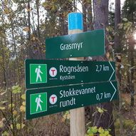 Rognsåsen - Grasmyr