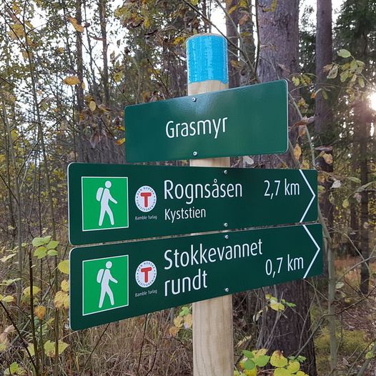 Rognsåsen - Grasmyr