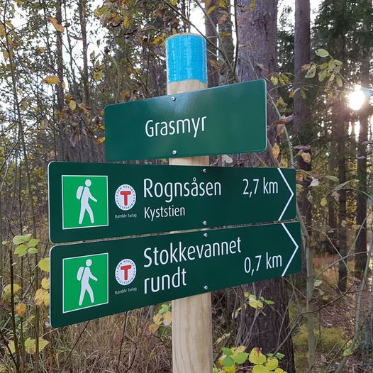 Rognsåsen - Grasmyr