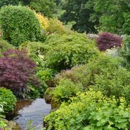 Charity Garden Opening - Lennel Bank