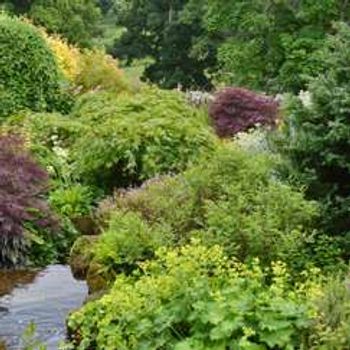 Charity Garden Opening - Lennel Bank