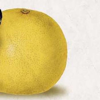 Rhod Gilbert & The Giant Grapefruit