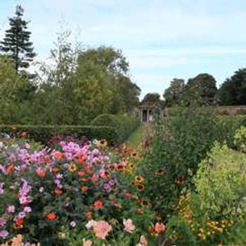 Charity Garden Opening - Amisfield Walled Garden