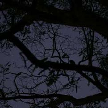 The Old King’s Head Chester Ghost Hunts