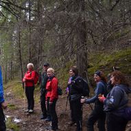 Rundtur over Vardkampen ved Forseth i Vestre Gausdal