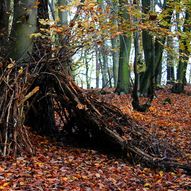Vakker gåtur fra Stasjonen landhandel Kile og innover til gapahukene på den gamle traseen til Setesdalsbanen