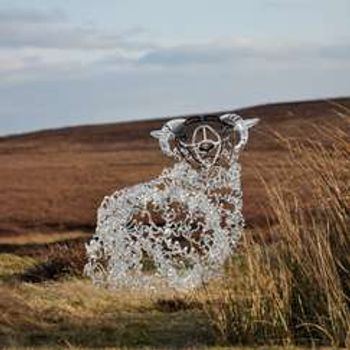 Glass Sheep, Millie and Me with Carrie Fertig