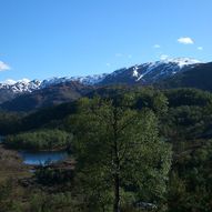 Gullfjellstoppen fra Gullbotn