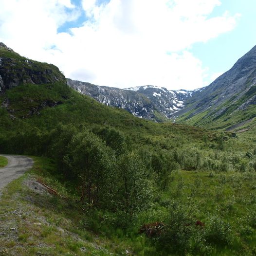 Stien mellom Rødalen og Danskehytta