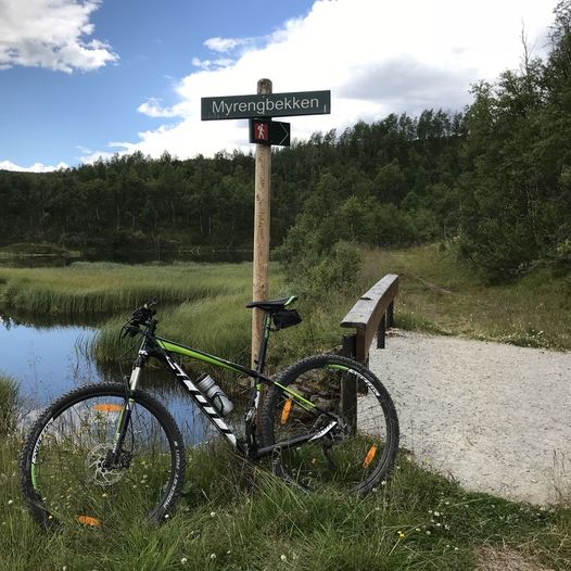 Seterveien Røros - Alvdal, del 1 Røros - Vingelen