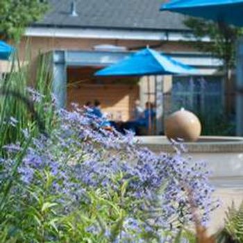 Charity Garden Opening - Horatio's Garden