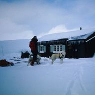 Vennlig vintertur sør for Rondane