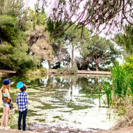 May family forest school session