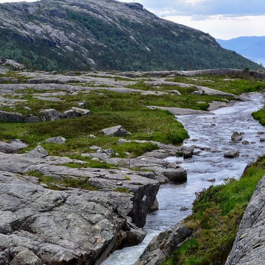 Lyngsheia til Bakken gard