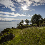 Vassnes i Kvænangen