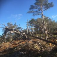 Rasteplassen Eikefjord  Heia 354 moh - Rundtur