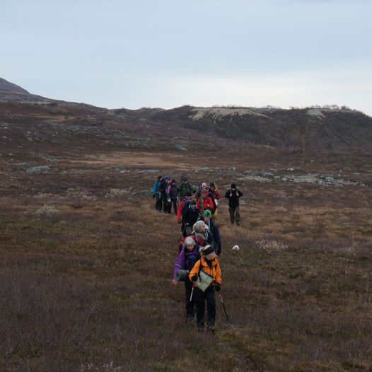 Bjellåvasstua til Tverrbrennstua
