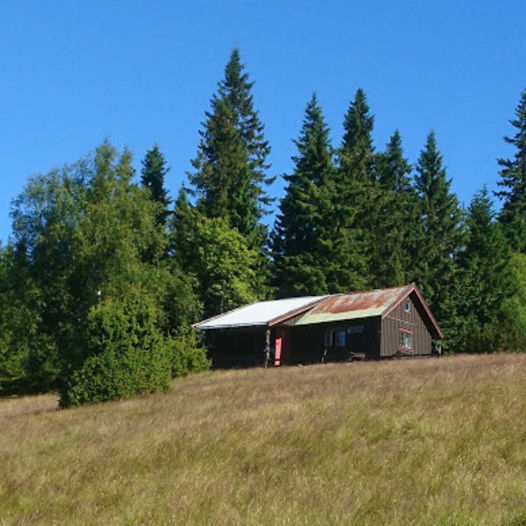 Rundtur Råbjørn snellingen