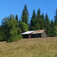 Rundtur Råbjørn snellingen