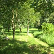 Charity Garden Opening - Kirkton Manor House