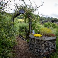 Charity Garden Opening - Quercus Garden Plants