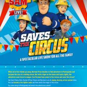 Fireman Sam - The Great Camping Adventure
