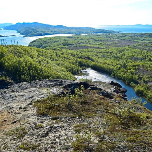 Skogstur på Knaplundsøya i Bodø