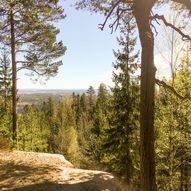 Topptur til Mjærskaukollen i Sørmarka