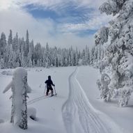 Kanada til Drammen på ski