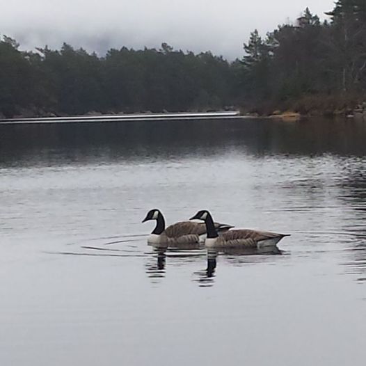 Austavatnet rundt.