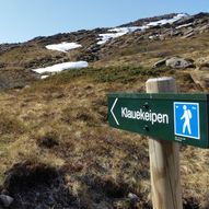 Grytadalen - Dyrelifjellet, 667 moh Rundtur