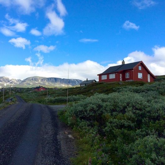 Prestholtskarvet rundt