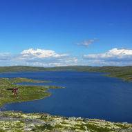 Tuva til Krækkja via Lægreidstølen