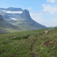 Innerdalen til Eiriksvollen (Fale)