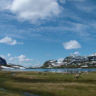 Hardangervidda fra fjell til fjord