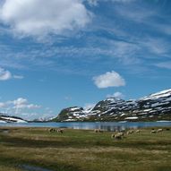 Hardangervidda fra fjell til fjord