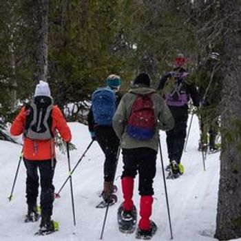 Guidet trugetur på Norefjell