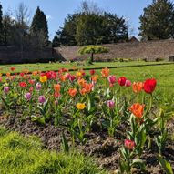 Charity Garden Opening - King's Park Walled Garden