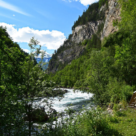 Elvelangs i Junkerdalsura