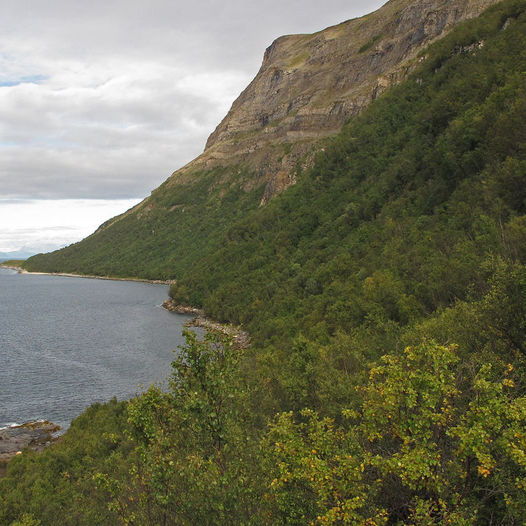 Tur til Dyngenes.