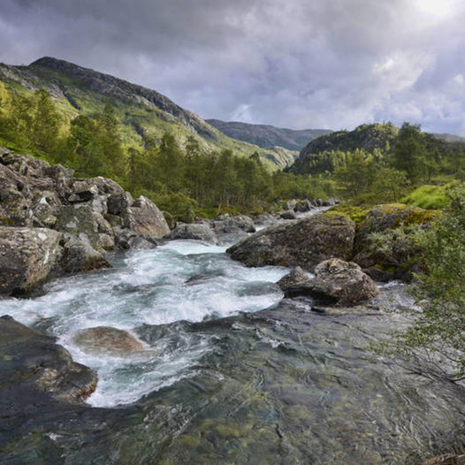 Kvanndalen - Haukeliseter fjellstue
