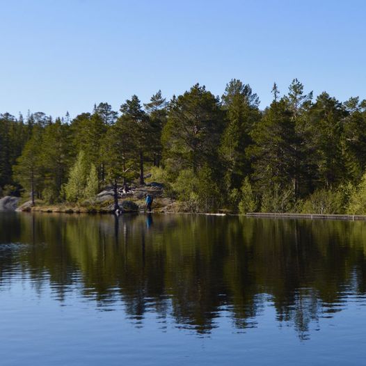 Sjøla–Damtjønna (Vassfjellet)