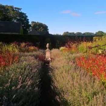 Charity Garden Opening - Whitburgh House Walled Garden