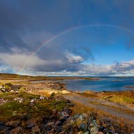 Fotojakt på Bremneset