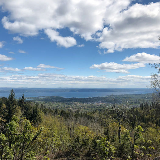 Topptur til Bergsåsen (459 moh.)