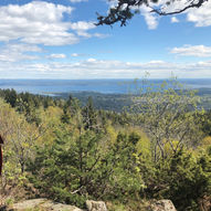 Topptur til Bergsåsen (459 moh.)