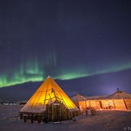 Middag i reinsdyrleir med mulighet for å se nordlyset i Tromsø