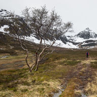 Tur til Dalbotnen i Grunnfjorddalen på Arnøya