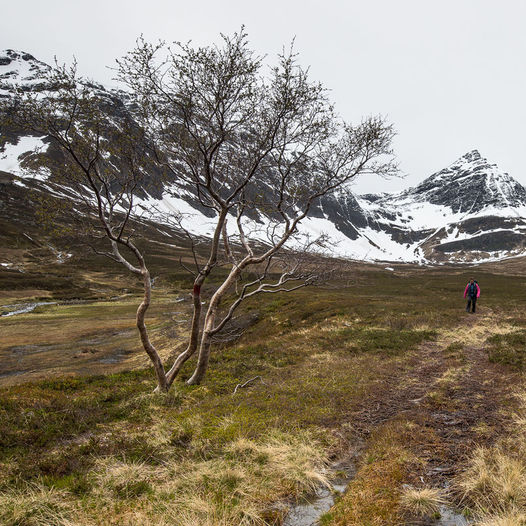 Tur til Dalbotnen i Grunnfjorddalen på Arnøya